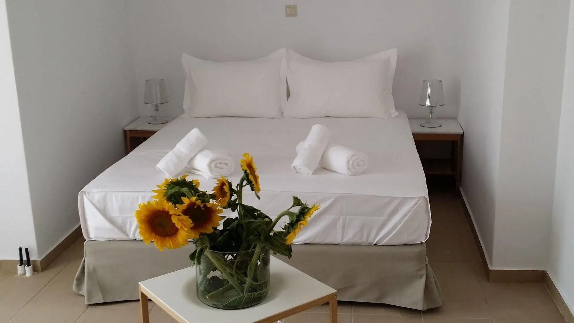 Niovi Boutique Apartments Afytos Greece